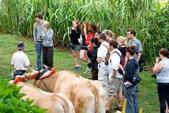 El Trapiche Tour - authentic Costa Rican family farm with  Coffee Chocolate and Sugar cane Tour